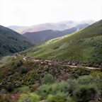 DSCN3976