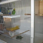 P9070038