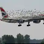 Vuelo peligroso de un Boeing 757-236