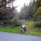 DSCN8990