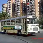 Malaga (50)