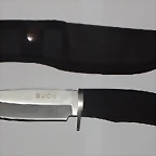BUCK (5)