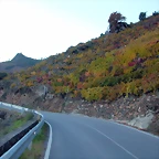 DSCN6557