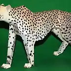 Cheetah (Papercraft) By Pendragon