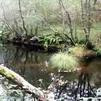 DSCN8975