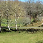 2-IMG_4406