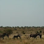 Kruger National Park 28-31 mayo 2009 1029