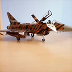 P1080004