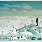 amaluk