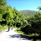 DSCN6778