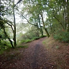 DSCN3740