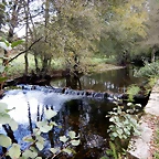 DSCN8278