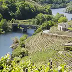 ribeira_sacra_9069_630x