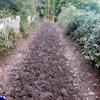 DSCN5372