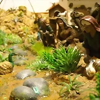 Portal de Beln  2010-2011. 017 (Small)
