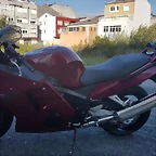 CBR 1100 XX (7)