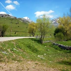 DSCN9770