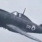 Reggiane Re.2002_Ariete