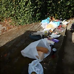 DSCN8631