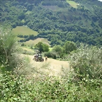 Ancares suso 015