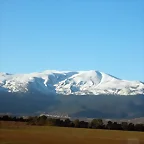 bonito bonito