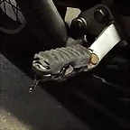 TRANSALP 600 DETALLES 008