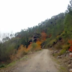 DSCN3119