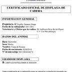 Certificado de displasia de cadera 20121119 Conan