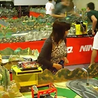 Imgenes Open Mixto 2011 023 (Small)