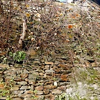 DSCN3221