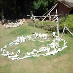 DSCN8384