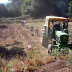 John Deere patatas