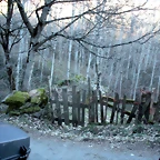 DSCN2390