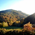 DSCN9060