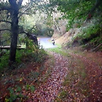 DSCN5360
