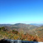 DSCN8801
