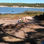 IMG-20170817-WA0004