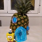 IMG_20180117_185118988