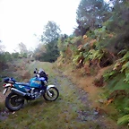 DSCN9460