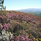 DSCF2508