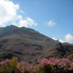 DSCN3968