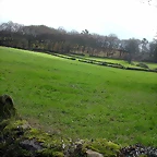 DSCN7340