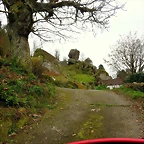 07-IMG_4499