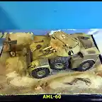 AML-60 042