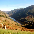 DSCN4511