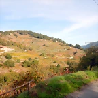 DSCN0558
