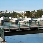 P1070807