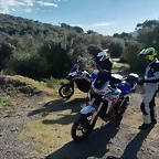 y23