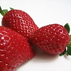 fresas