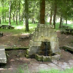 DSCN5356